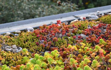 the cost of Lambs Green green roof installation