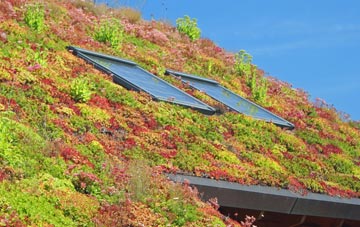 Lambs Green living roof systems