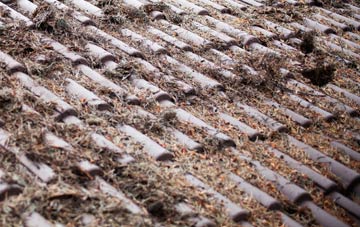 Lambs Green roof cleaning companies