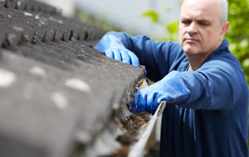 cleaning and inspecting Lambs Green roofs