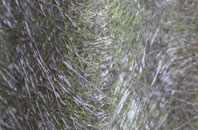 Lambs Green fibreglass roof work